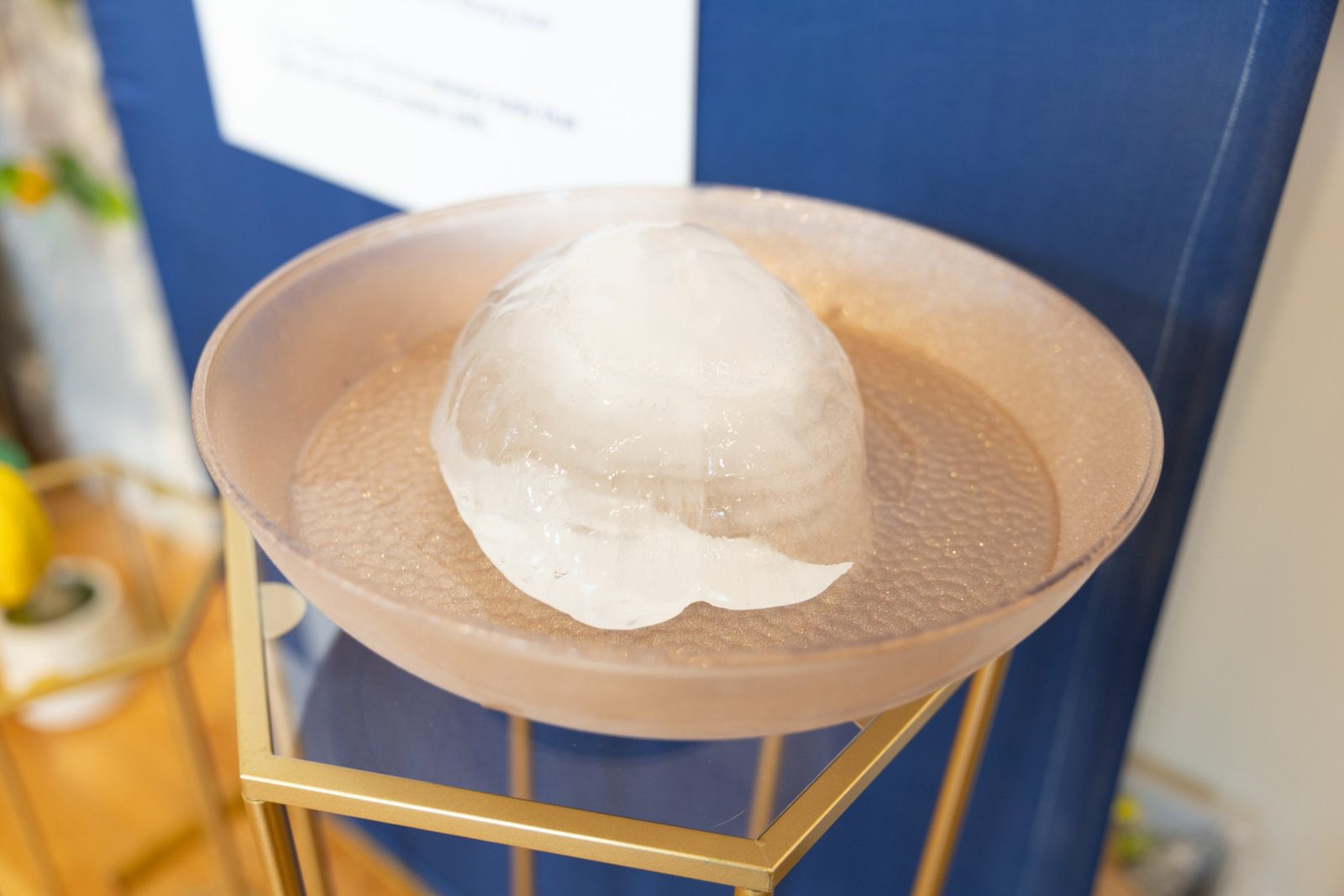 An ice dome at the Sensory Stop